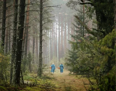 National Park draws mushroom hunters from around the world