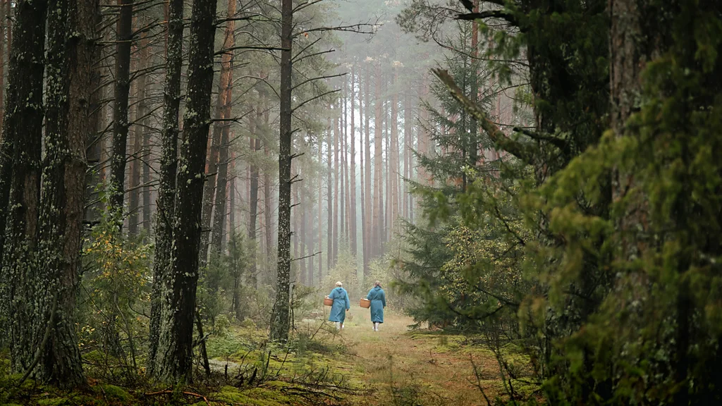 National Park draws mushroom hunters from around the world